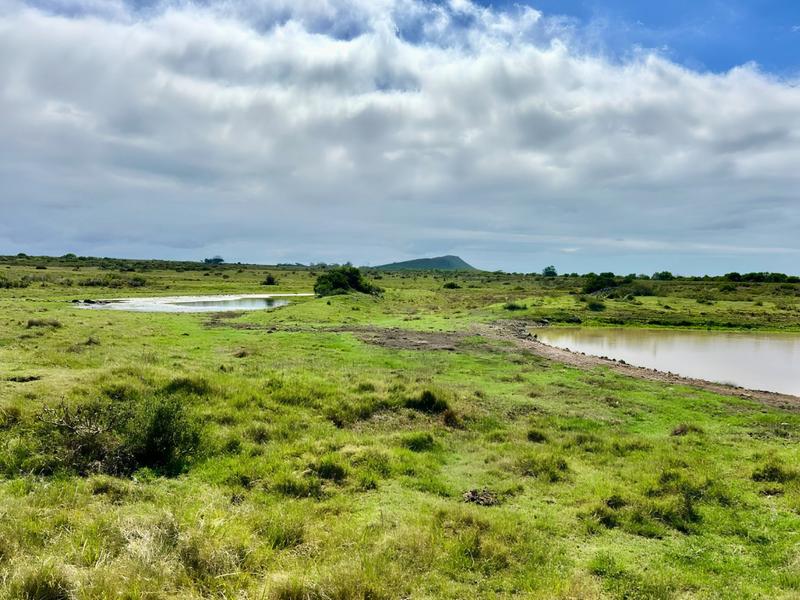 0 Bedroom Property for Sale in Mossel Bay Rural Western Cape